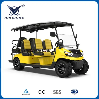 Kinghike Electric Golf Cart: Incorporating Advanced Road-Vehicle Technology in Golf Cart Design and Supply Chain