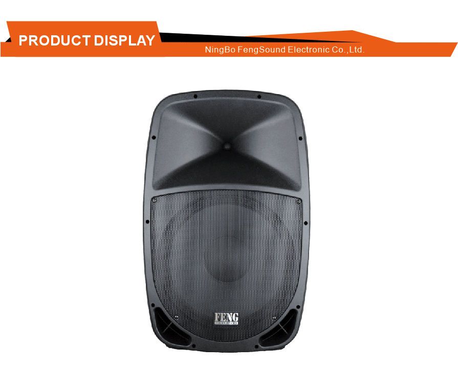 Multipurpose Stage Speaker