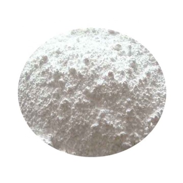 High quality probiotics rhamnosus powder