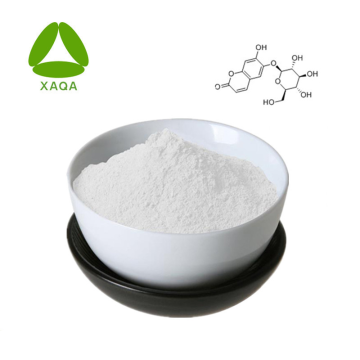 المضادة للالتهابات Esculin Hydrate CAS NO 531-75-9 Powder