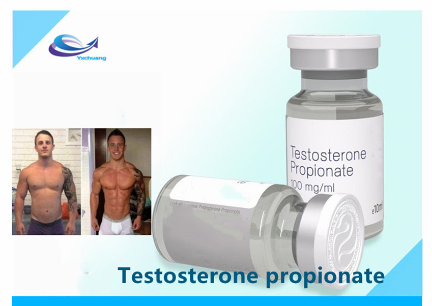 testosterone propionate cycle results