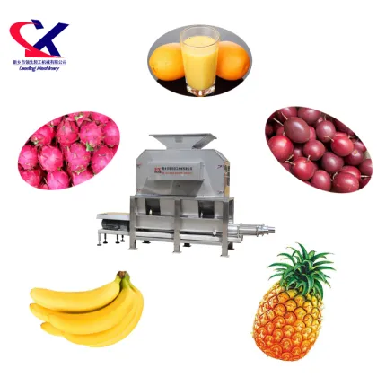 Automatic Dragon Fruit Puree Processing Machine