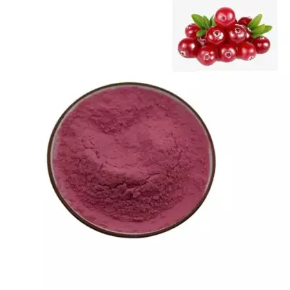 Wholesale cranberry fruit powder