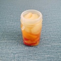 Cocktail de frutas 575g em xarope no frasco de plástico