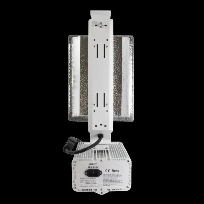 HPS Grow Light 600W Kit with Ballasts for 1000W Gavita