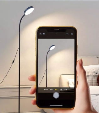 Adjustable Head Remote Control ABS Crystal LED Floor Lamp for Living Room