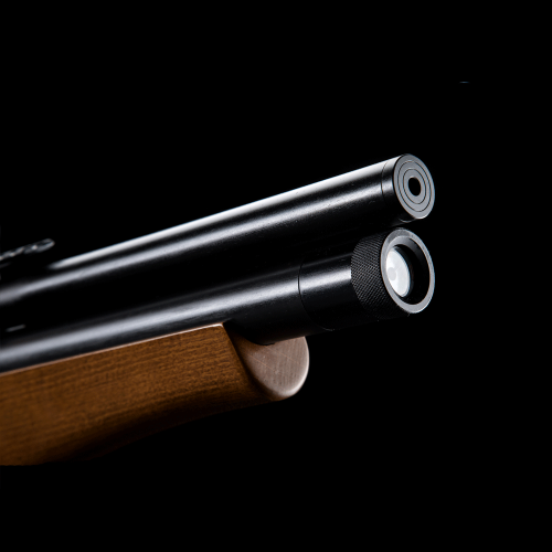 PCP Air Bullpup P10