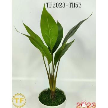 46cm bird of paradise leaf x 6 with plastic Pot