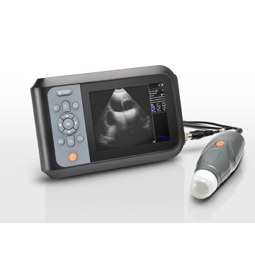 SONO V5+ ultrasound for swine pregnancy test