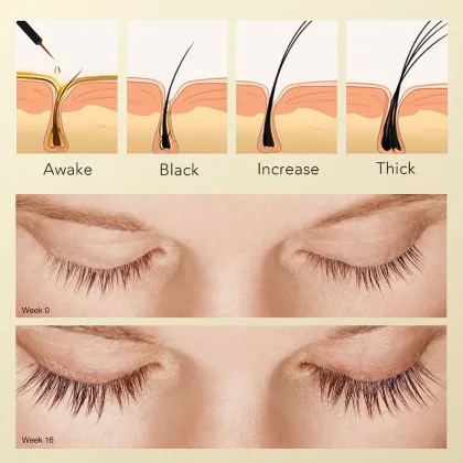 Unimore Korean Lash Serum: Oil-Free Natural Eyelash Growth Serum for After Lash Lift