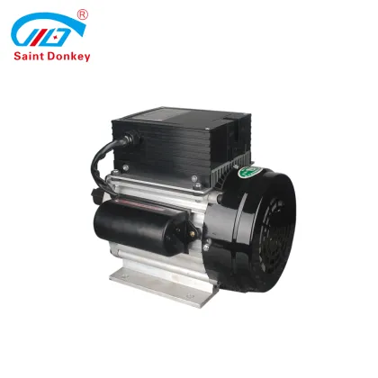 Saint Donkey Permanent Magnet Electric Motor Search