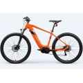 Customized Motorized Mountain Bike