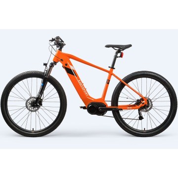 Mountain Electric Bike con pedali