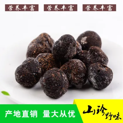 Wholesale Fresh Frozen Black Truffle