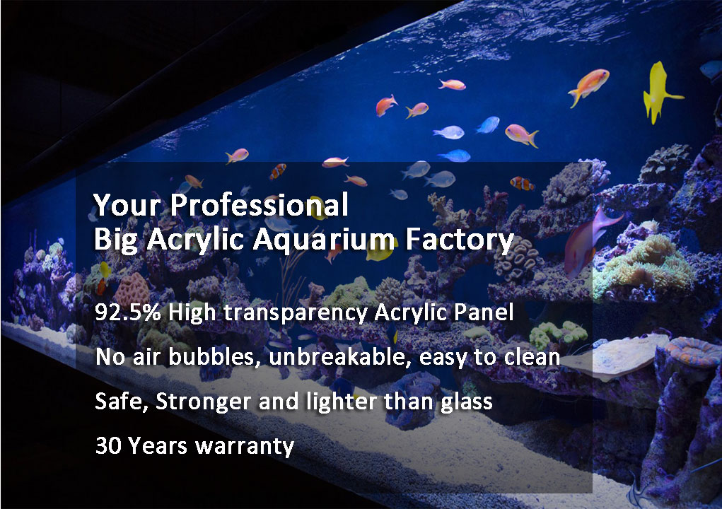 Acrylic aquarium tank 