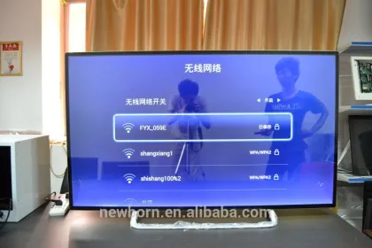 58 Inch Big Screen Outdoor Led Tv Portable Digtal Tv Led Tv OEM