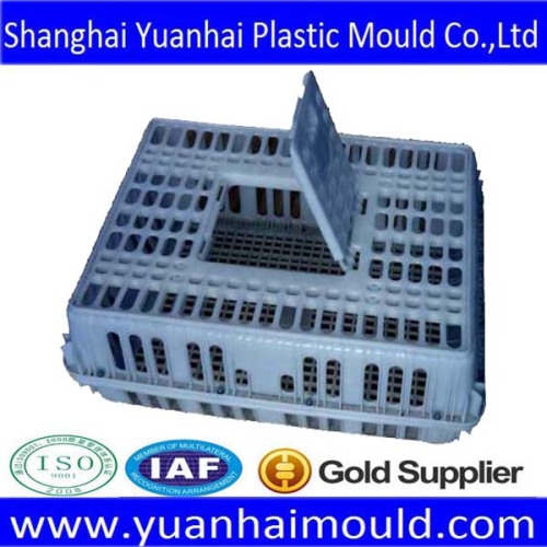 Poultry Layer Cages, Poultry Cage Manufacturer