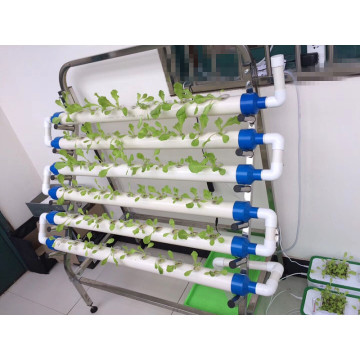 Hydroponics Growing System pvc pipe hydroponic system