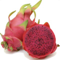 Red Dragon Fruit Pitaya Extract Powder