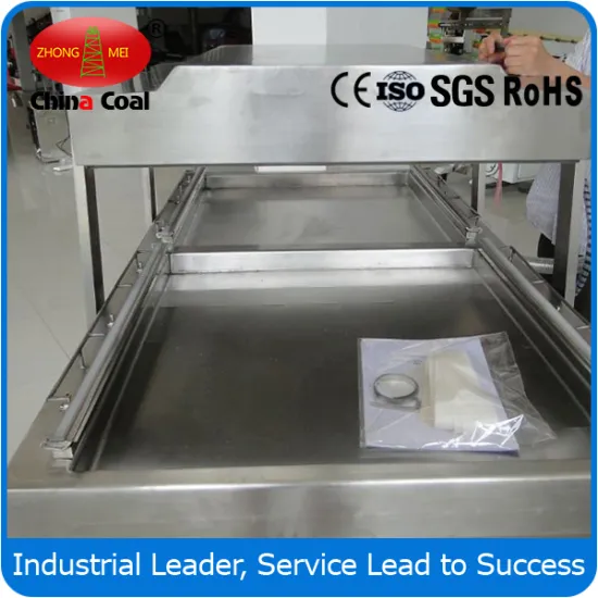 DZ600-2SB  double chamber food automatic vacuum packaging machine