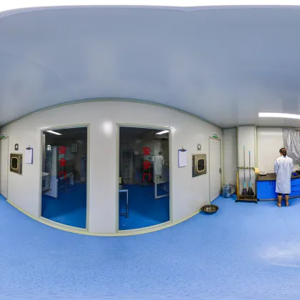 Factory price Chinese ivy extract powder ivy extract