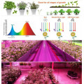 CE ROHS Spectrum completa 1000w COB Grow Light