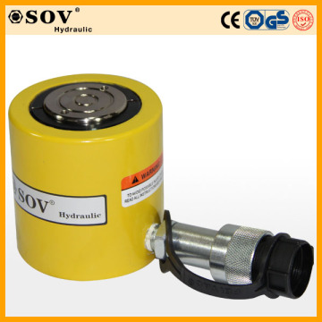 High Quatliy Single Acting Hydraulic Cylinder (SV19Y1054)