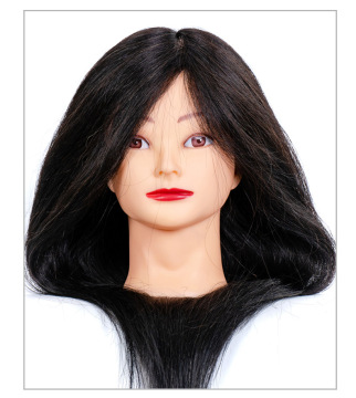Factory Outlet Cosmetology 100% Real Human Hair Salon Practice Head Mannequin