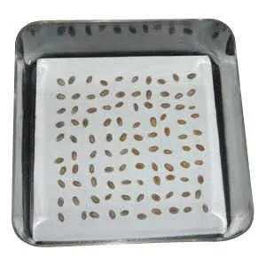 Seed germinating box seed germinating box