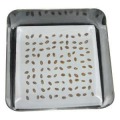 Laboratory research transparent seed germination box