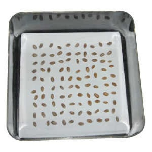 Seed germinating box seed germinating box