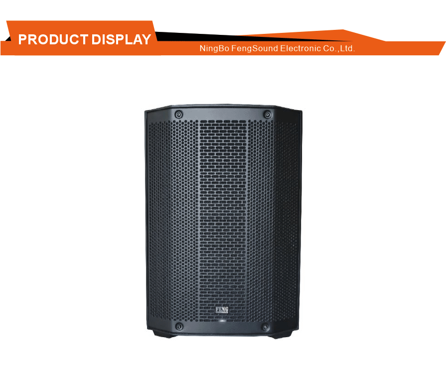 Global Voltage Input PA Speaker