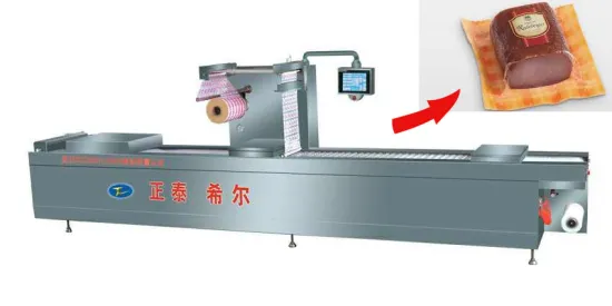 Leisure Food Automatic Vacuum Packing Machine