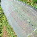 Hållbar vit transparent plastmulchfilm för växthus