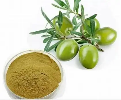 Oleuropein Olive Leaf Extract