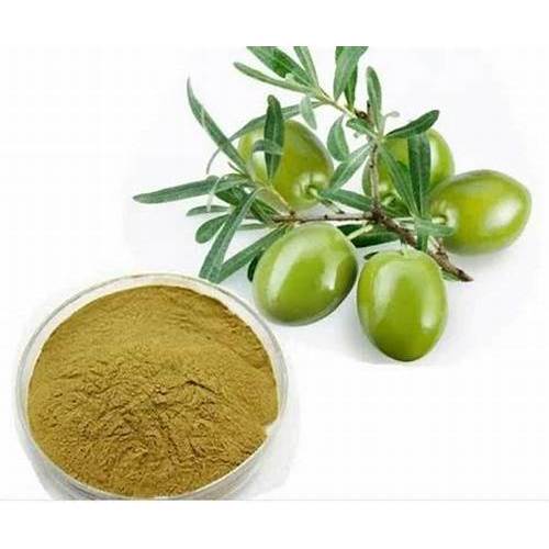 Oleuropein Olive Leaf Extract