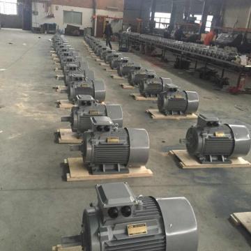 LANDTOP 15KW 3 Phase Electric Motor Sale Price