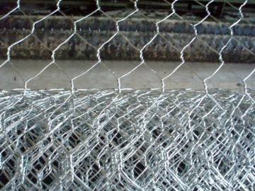 Electro Galvanized Hex Wire Mesh