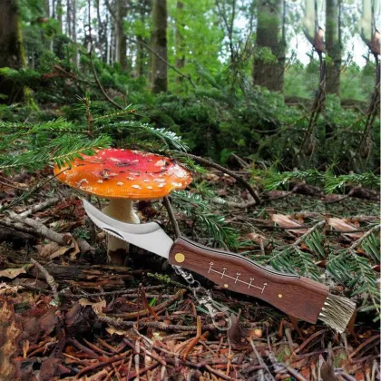 Folding Mushroom Harvest Knife with Wood Handle for Camping and Hunting