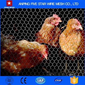 Alibaba China Manufacturers PVC Chicken Cage With Low Price