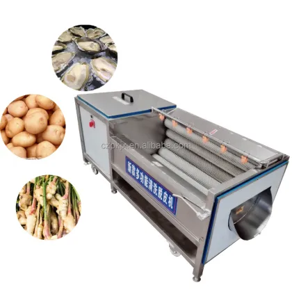 Hot Sale Brush Washer: Oyster Cleaning Machine for Sea Snail and Scallop Shellfish