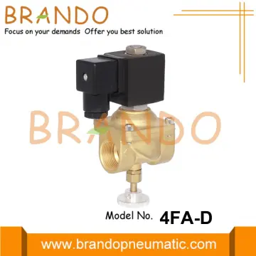 LPG Natural Gas Solenoid Valve 3/4'' 110VAC 220VAC
