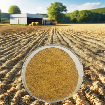 corn gluten meal for pig chickens cattle