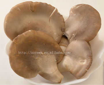 canned whole abalone mushrooms for sale