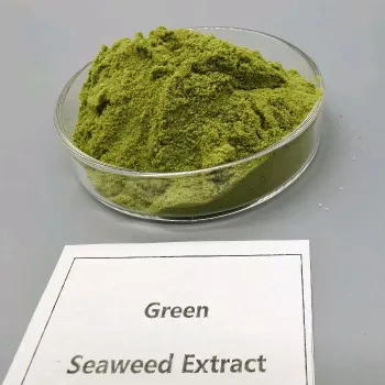 Biostimulant Cold-Processed Seaweed Extract