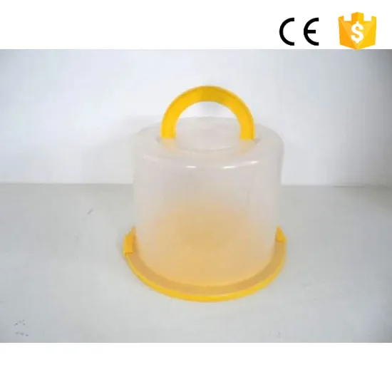 Bakery Plastic Containers Clear Rigid Plastic Boxes