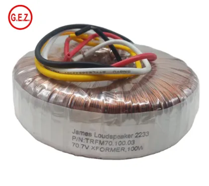 Toroidal Coil Audio Amplifier Power Transformer