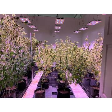 Led Plant Grow Lighting Grow Tambahan Pusingan