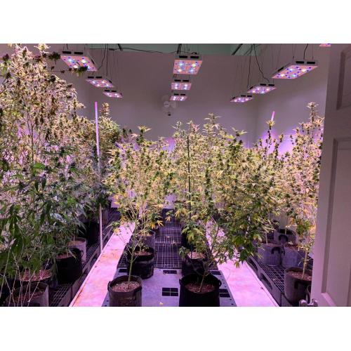 Led Plant Grow Lighting Grow Supplementary Round