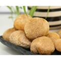 Estratto di funghi Hericium in polvere